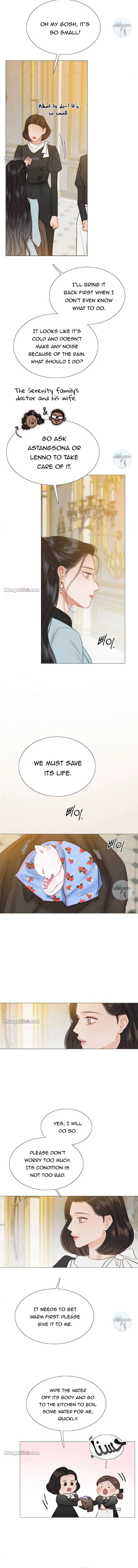 Selena chapter 41 page 3