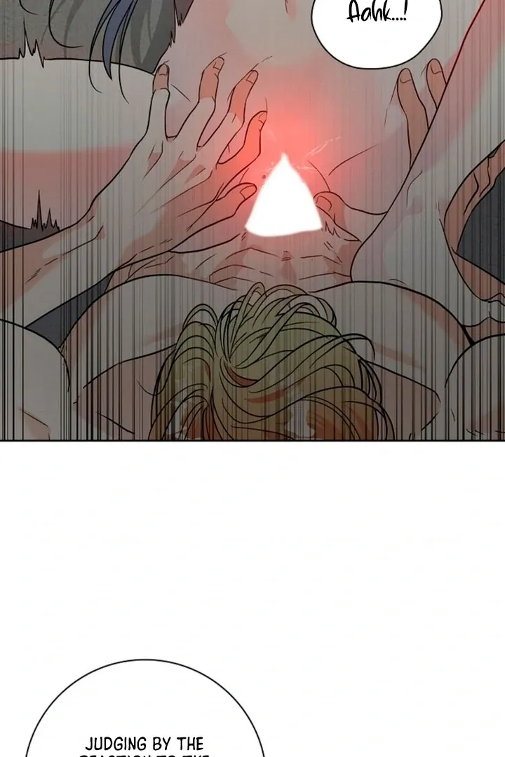 The Saintess’s Petals Become Wet chapter 2 page 4