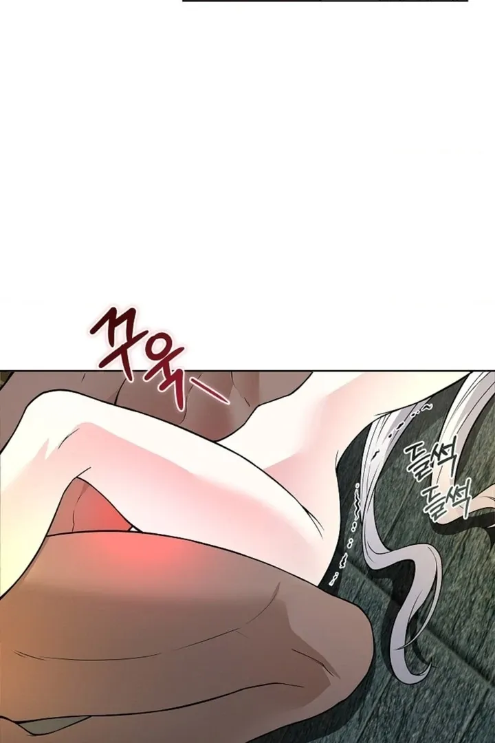 The Saintess’s Petals Become Wet chapter 9 page 47
