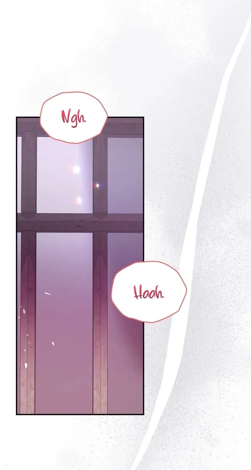 Five Husbands Appeared on My Birthday chapter 0 page 3