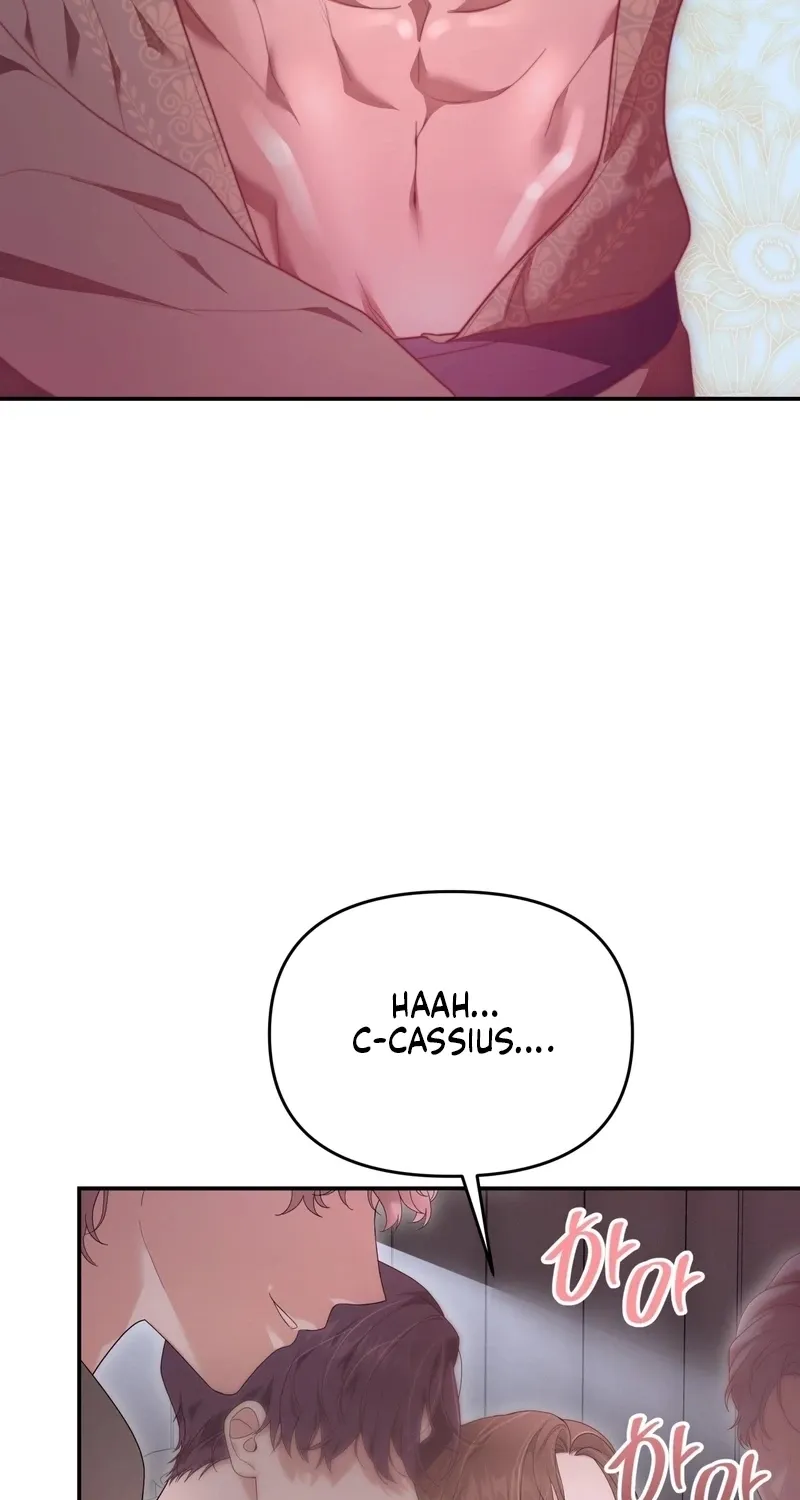 Five Husbands Appeared on My Birthday chapter 0 page 43