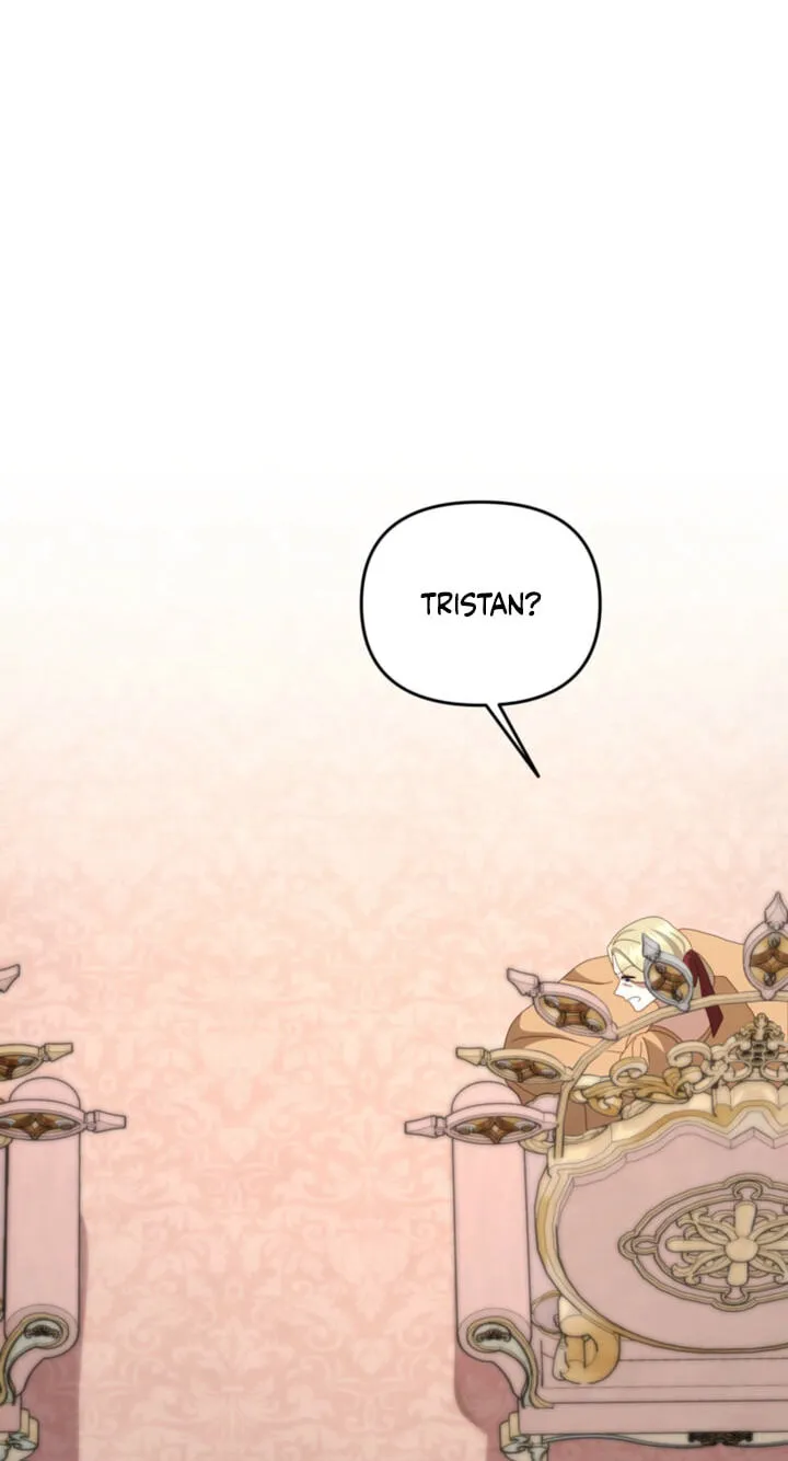 Five Husbands Appeared on My Birthday chapter 31 page 43