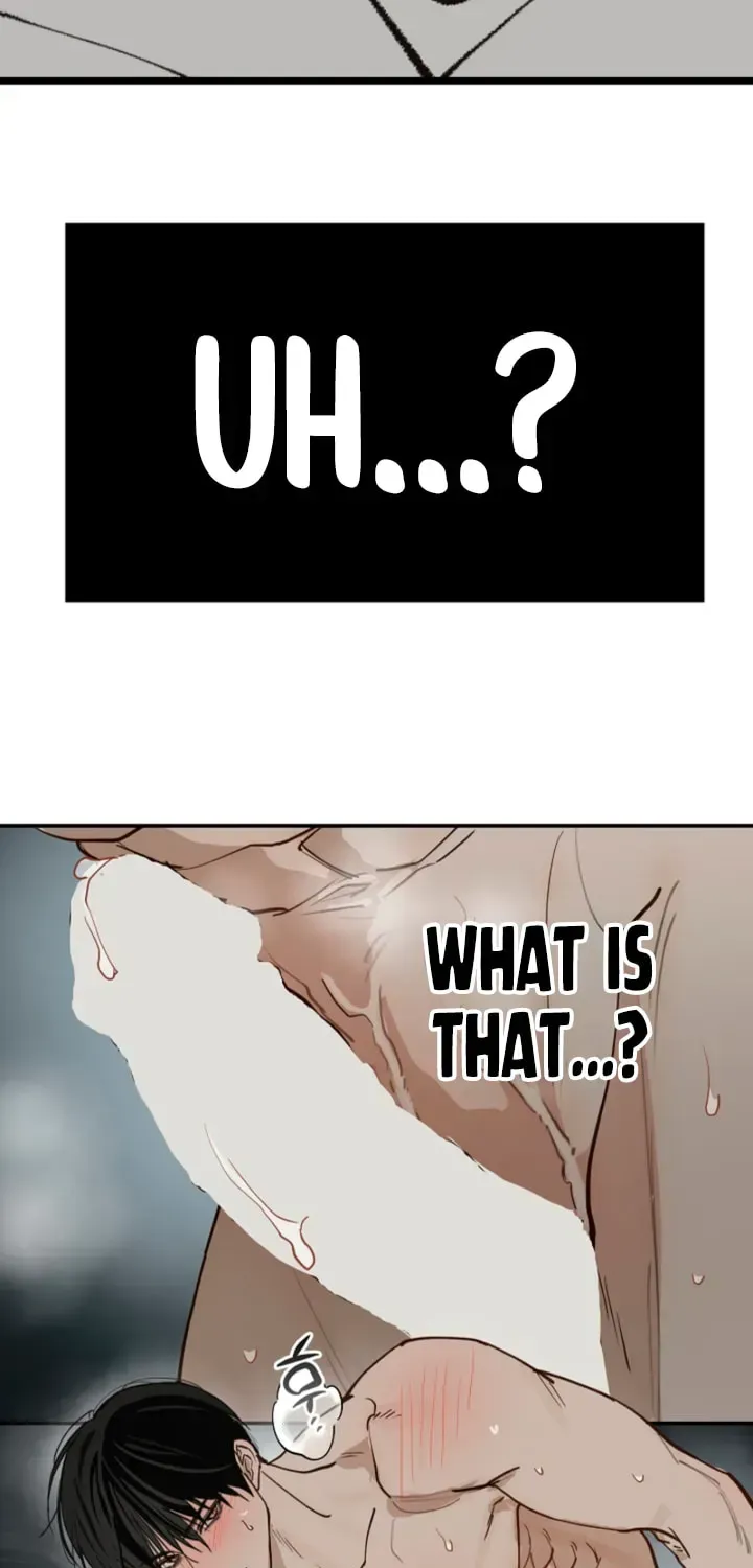 Flowers Are Bait chapter 49 page 3