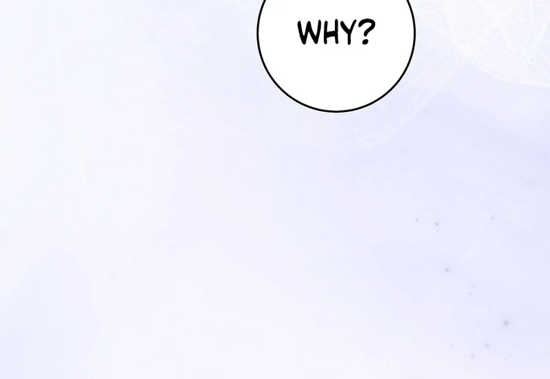 Paradisus Valentinae chapter 15 page 10