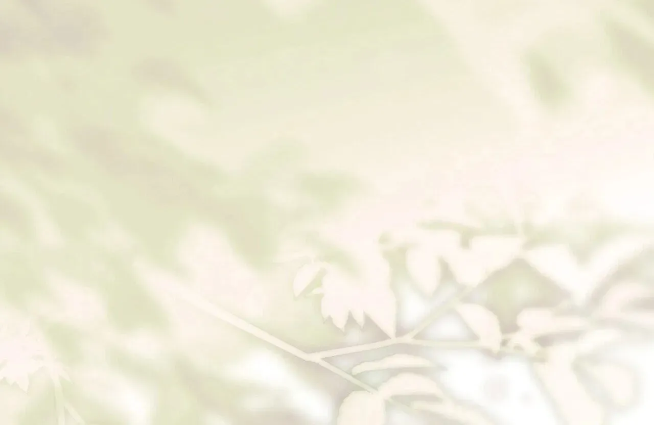 Paradisus Valentinae chapter 44 page 218