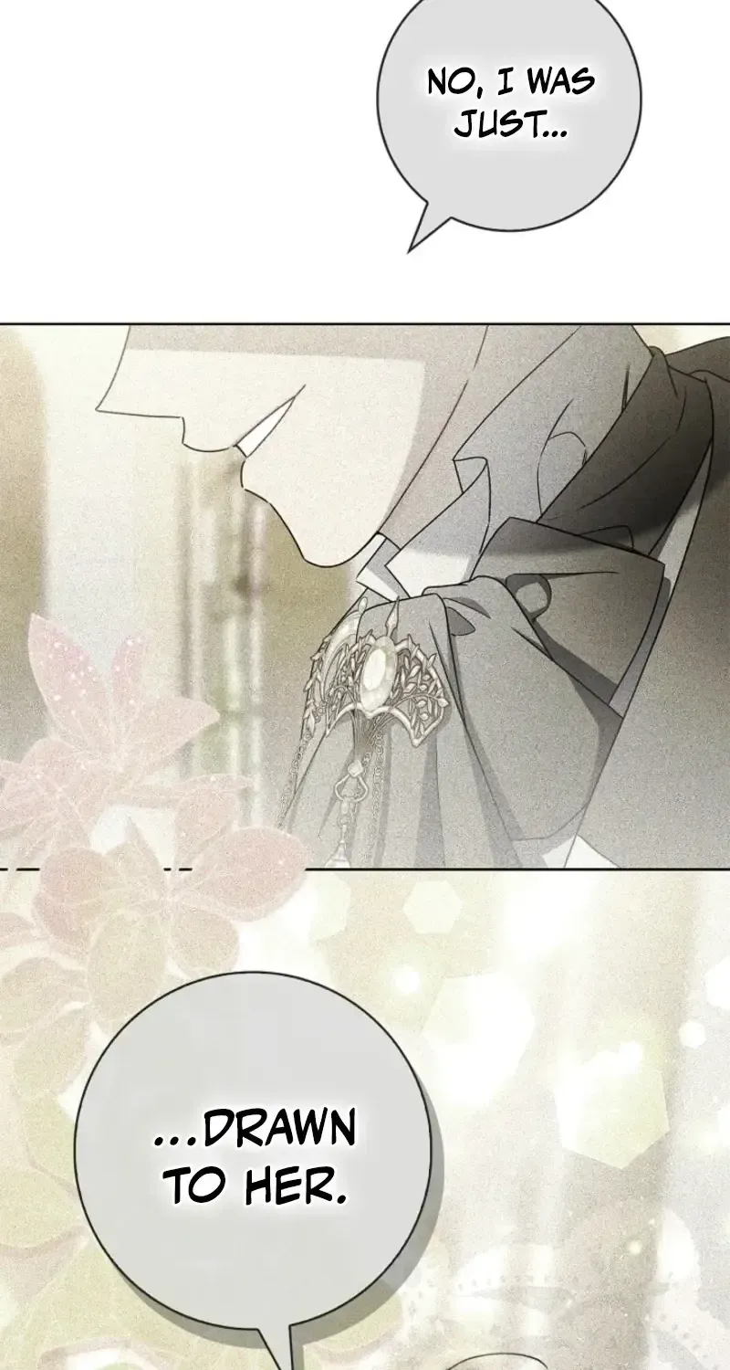 Sorry, I got distracted by your looks chapter 74 page 19
