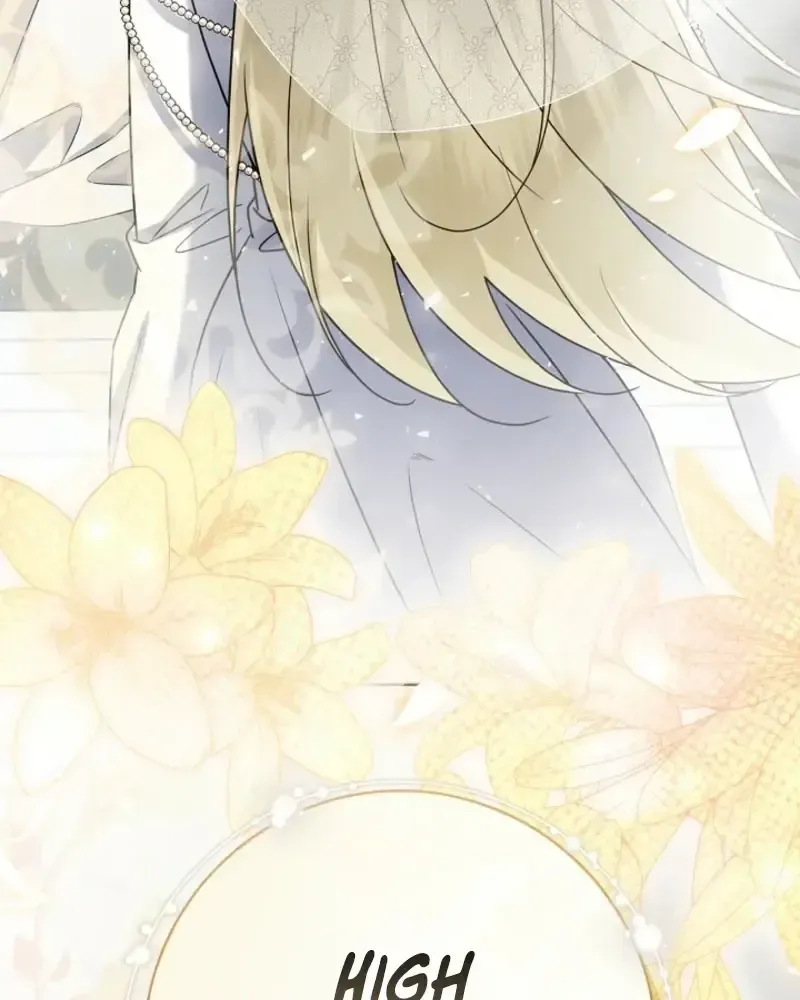 Sorry, I got distracted by your looks chapter 75 page 14