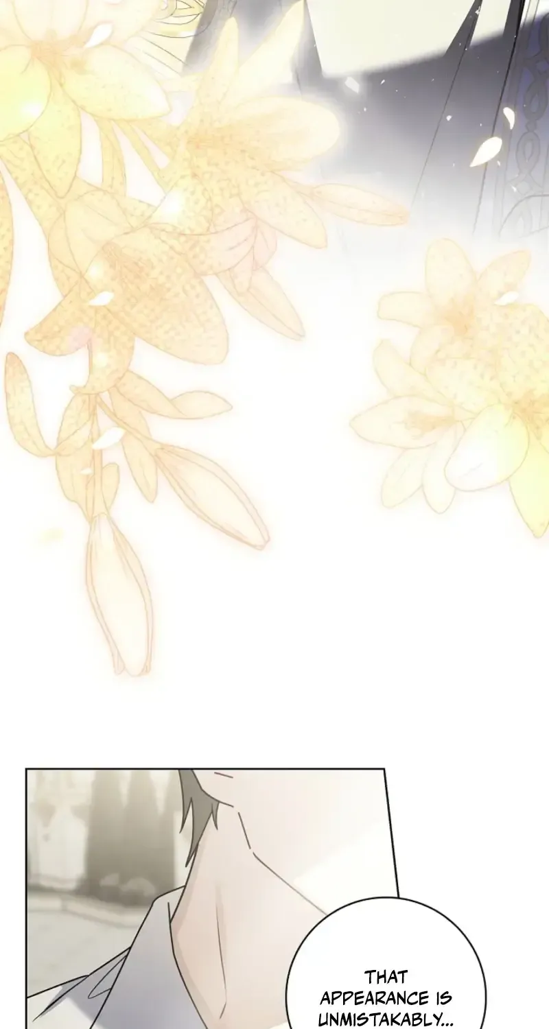 Sorry, I got distracted by your looks chapter 76 page 83