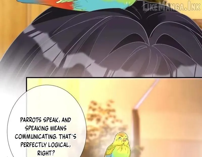 Everyone’s Darling chapter 417 page 35
