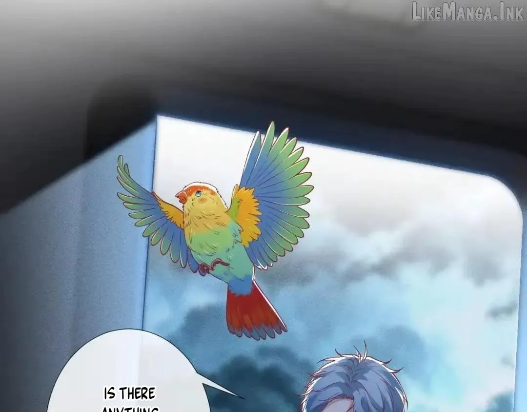 Everyone’s Darling chapter 420 page 67