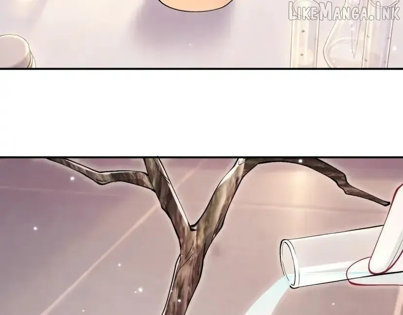 Everyone’s Darling chapter 426 page 81