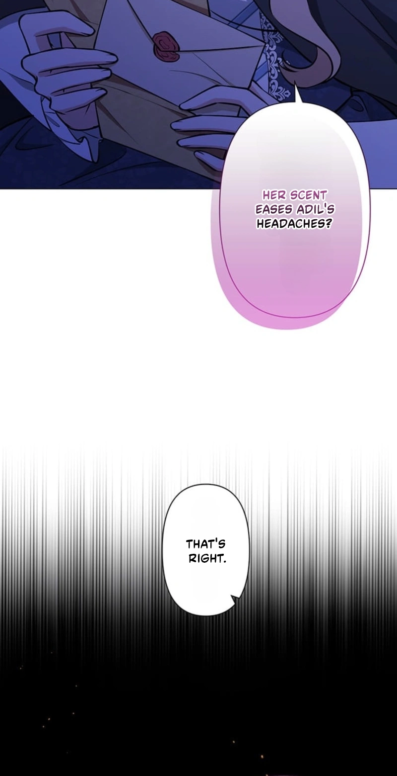The Enemy King’s Substitute Bride chapter 46 page 67