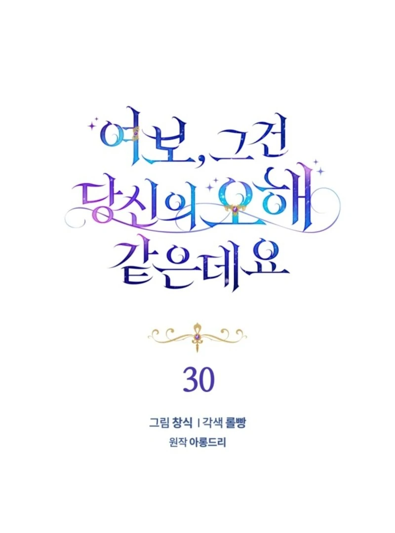 Honey, I Think That’s a Misunderstanding chapter 30 page 28