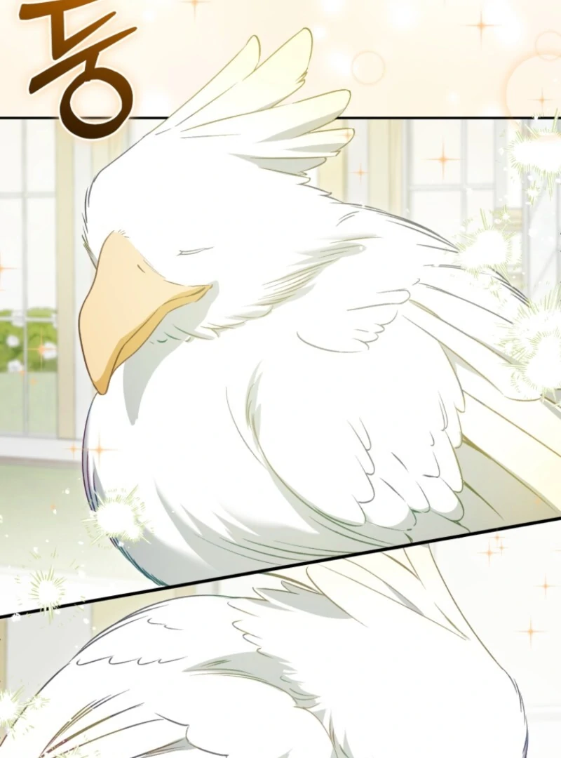 Honey, I Think That’s a Misunderstanding chapter 31 page 81