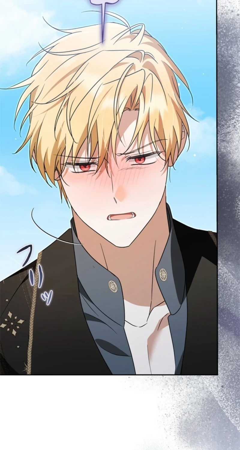Protecting My Dangerous Handsome Brother chapter 40 page 41