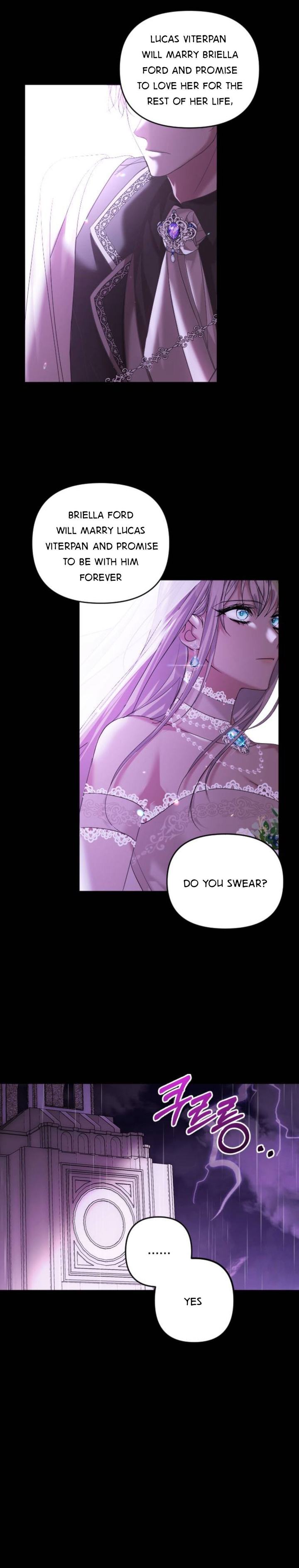 Marriage Alliance for Revenge chapter 1 page 3