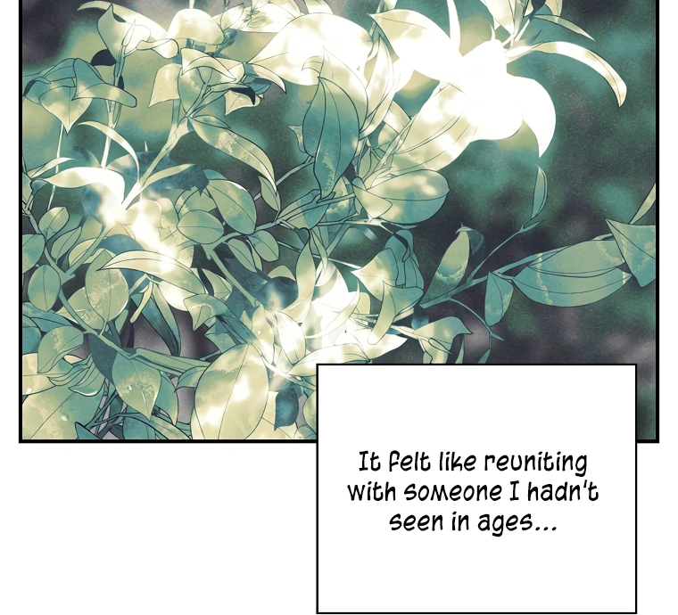 I’m Looking for a New Husband chapter 8 page 62