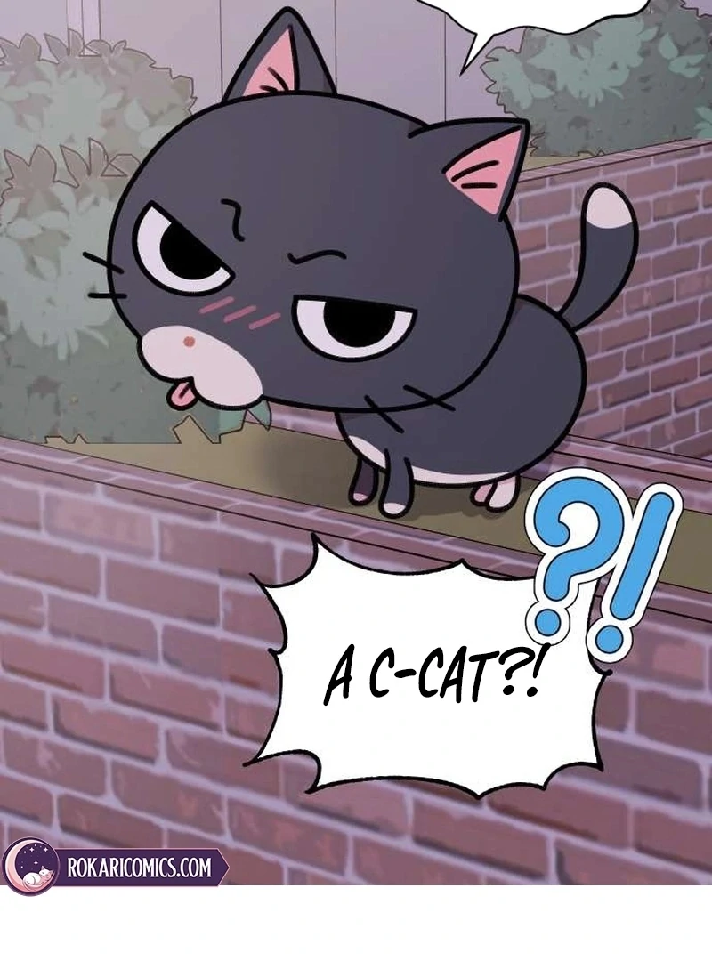 Meow-Meow Squeak-Squeak! chapter 4 page 4