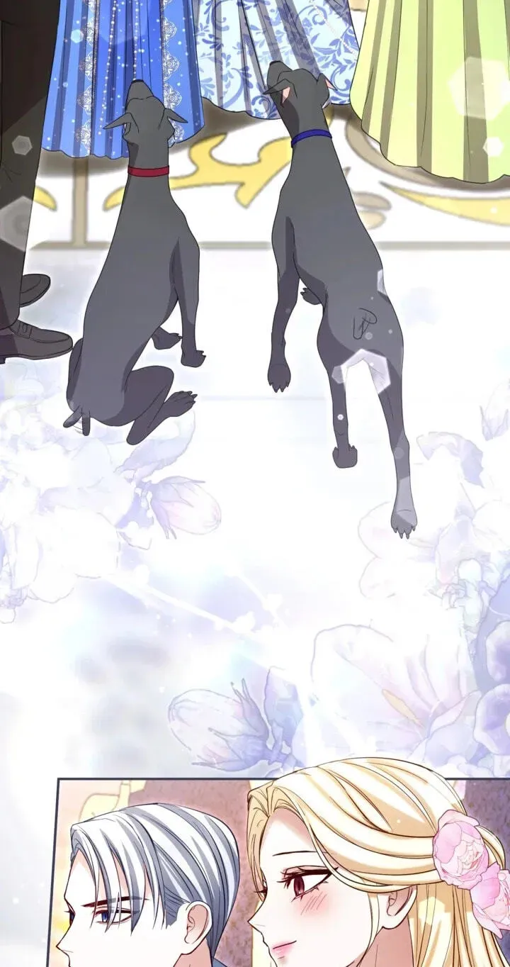 ‏I Will Fall With The Emperor chapter 195 page 40