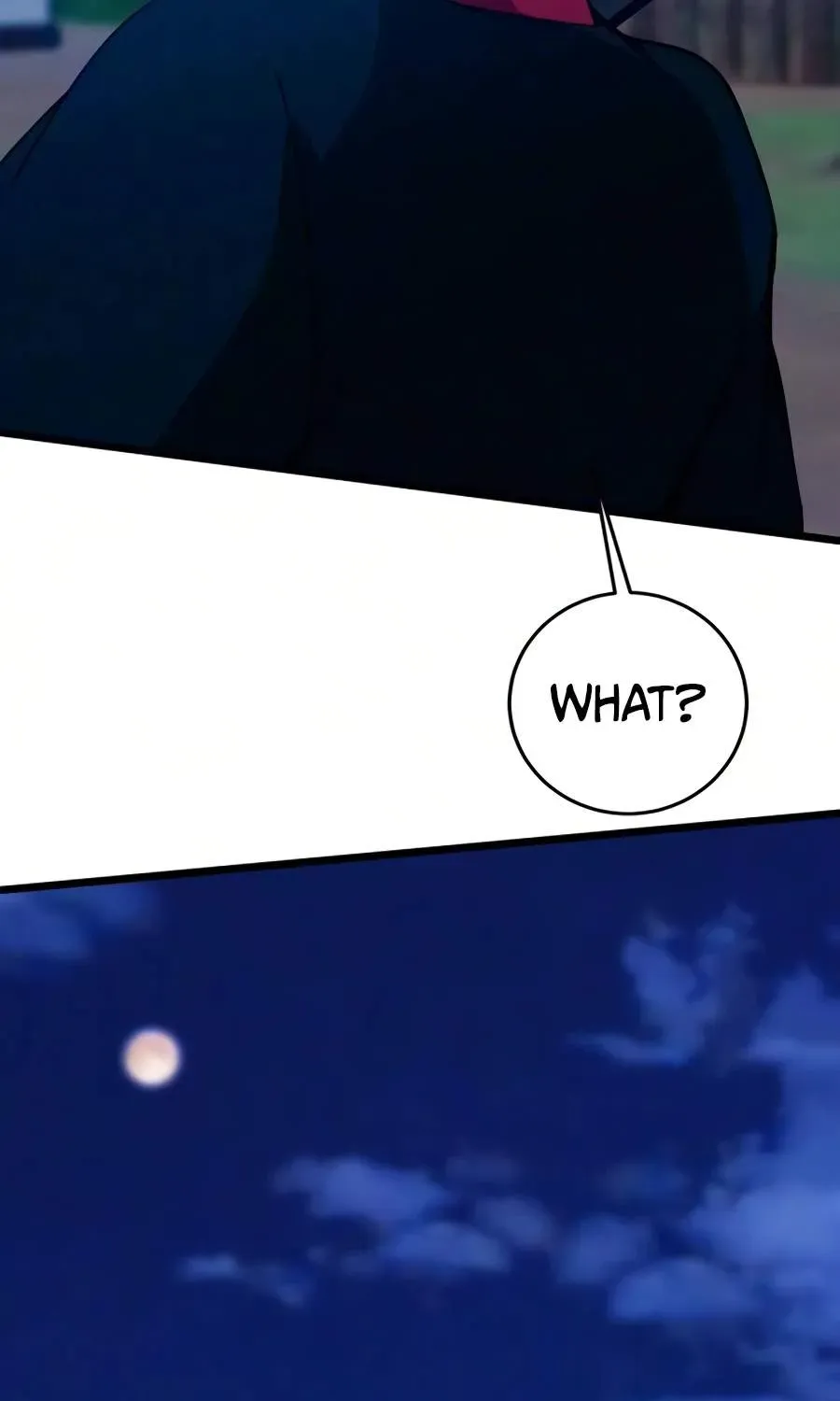 Initializing the Sect System chapter 47 page 66