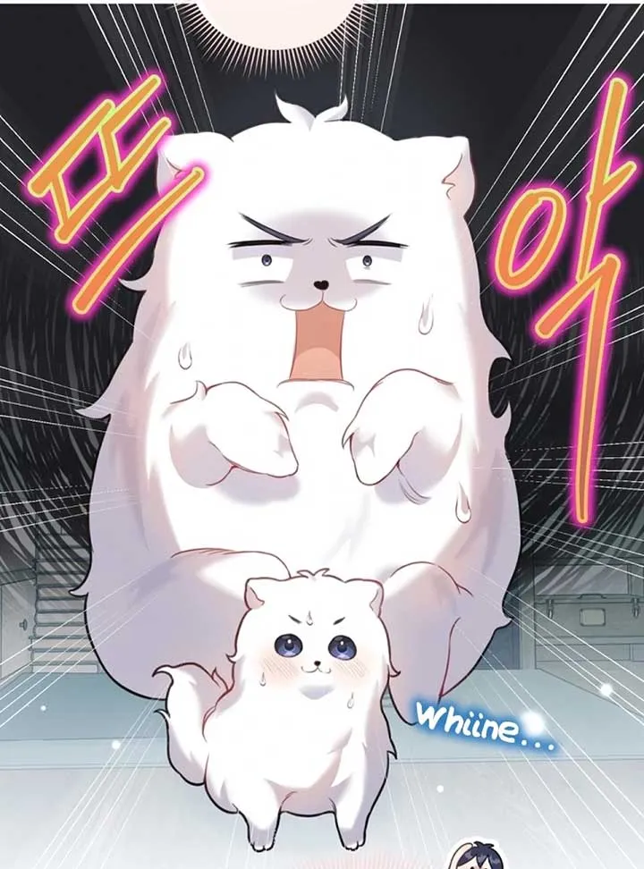 My masculine Puppy chapter 2 page 137