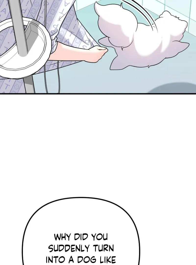 My masculine Puppy chapter 43 page 76
