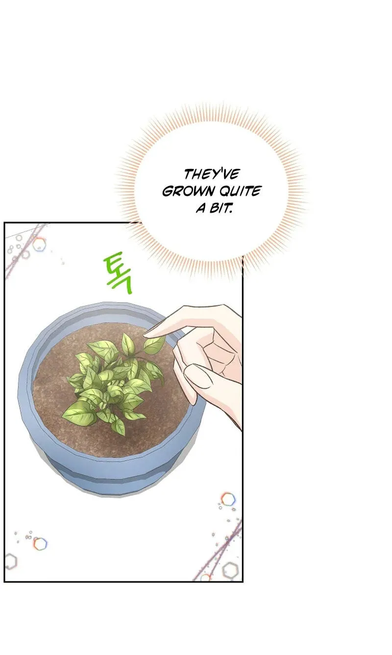 Acidity of Regret chapter 50 page 68