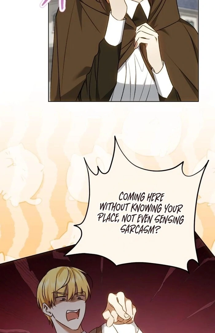 My Husband Was Stolen Twice chapter 9 page 17