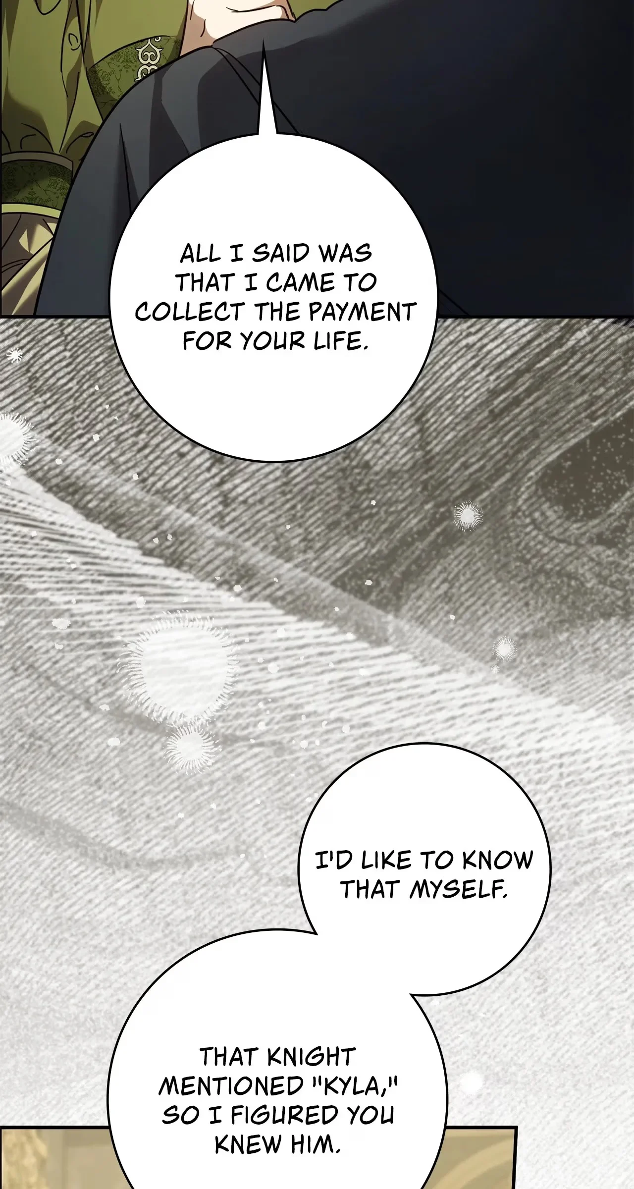 Once an Assassin, Now a Royal Nanny chapter 33 page 14