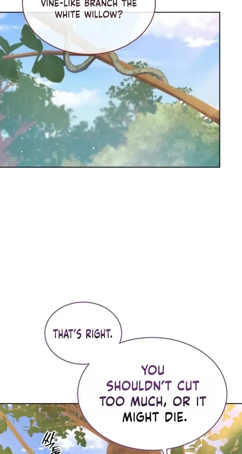 A Mouse Biting a Dragon’s Tail chapter 97 page 47