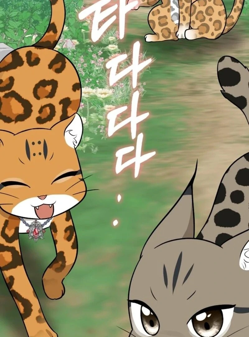 Anyone Can See It’s A Beast chapter 30 page 153