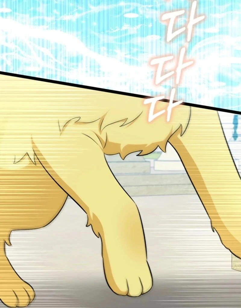 Anyone Can See It’s A Beast chapter 37 page 14