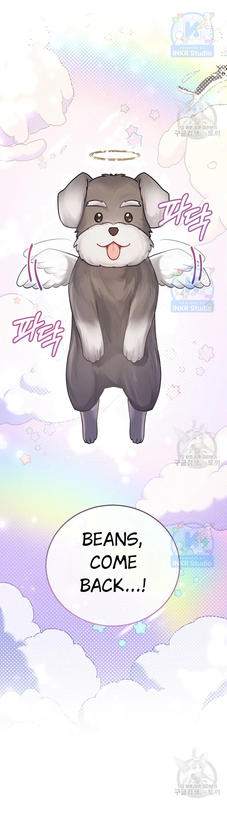 Hello! Veterinarian! chapter 1 page 7