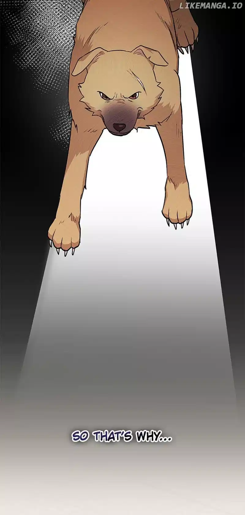 Hello! Veterinarian! chapter 17 page 11