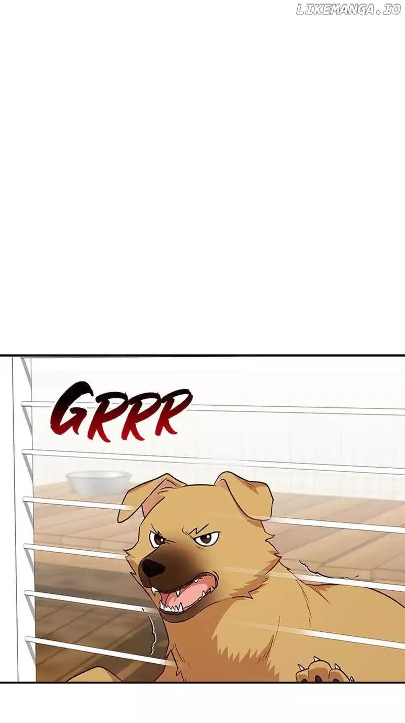 Hello! Veterinarian! chapter 19 page 2