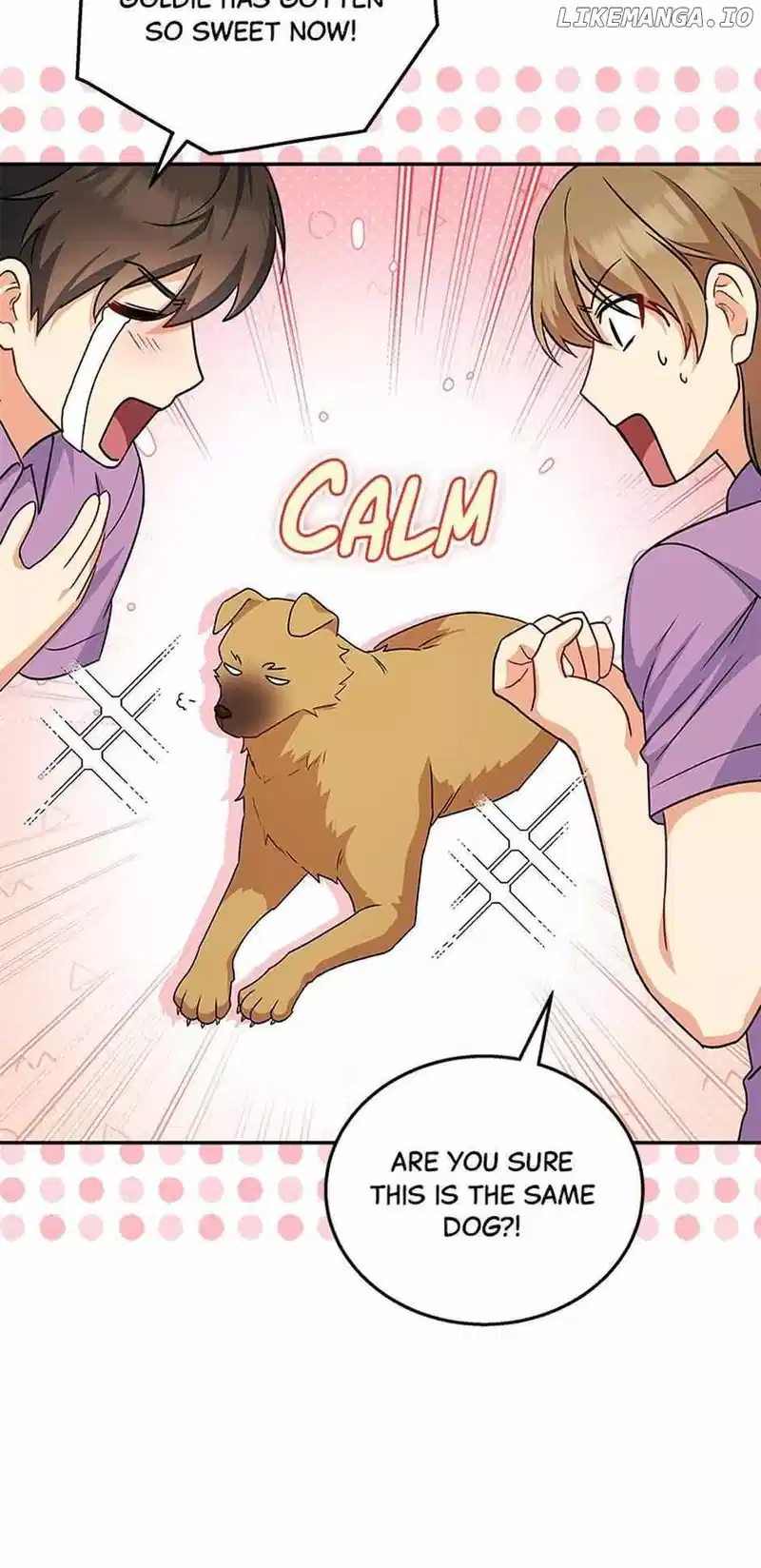 Hello! Veterinarian! chapter 19 page 45