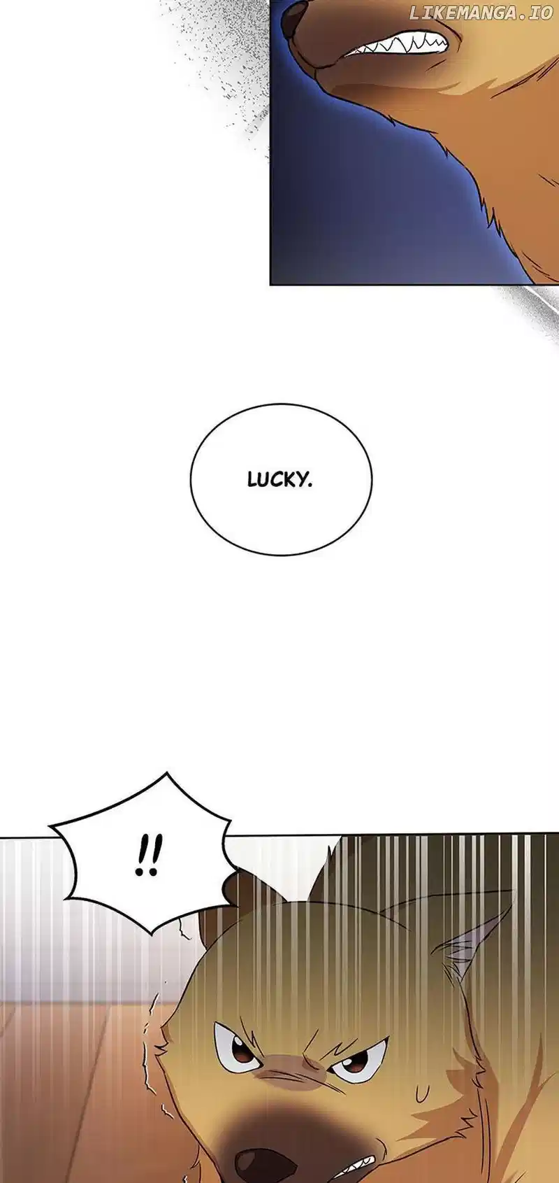 Hello! Veterinarian! chapter 20 page 43