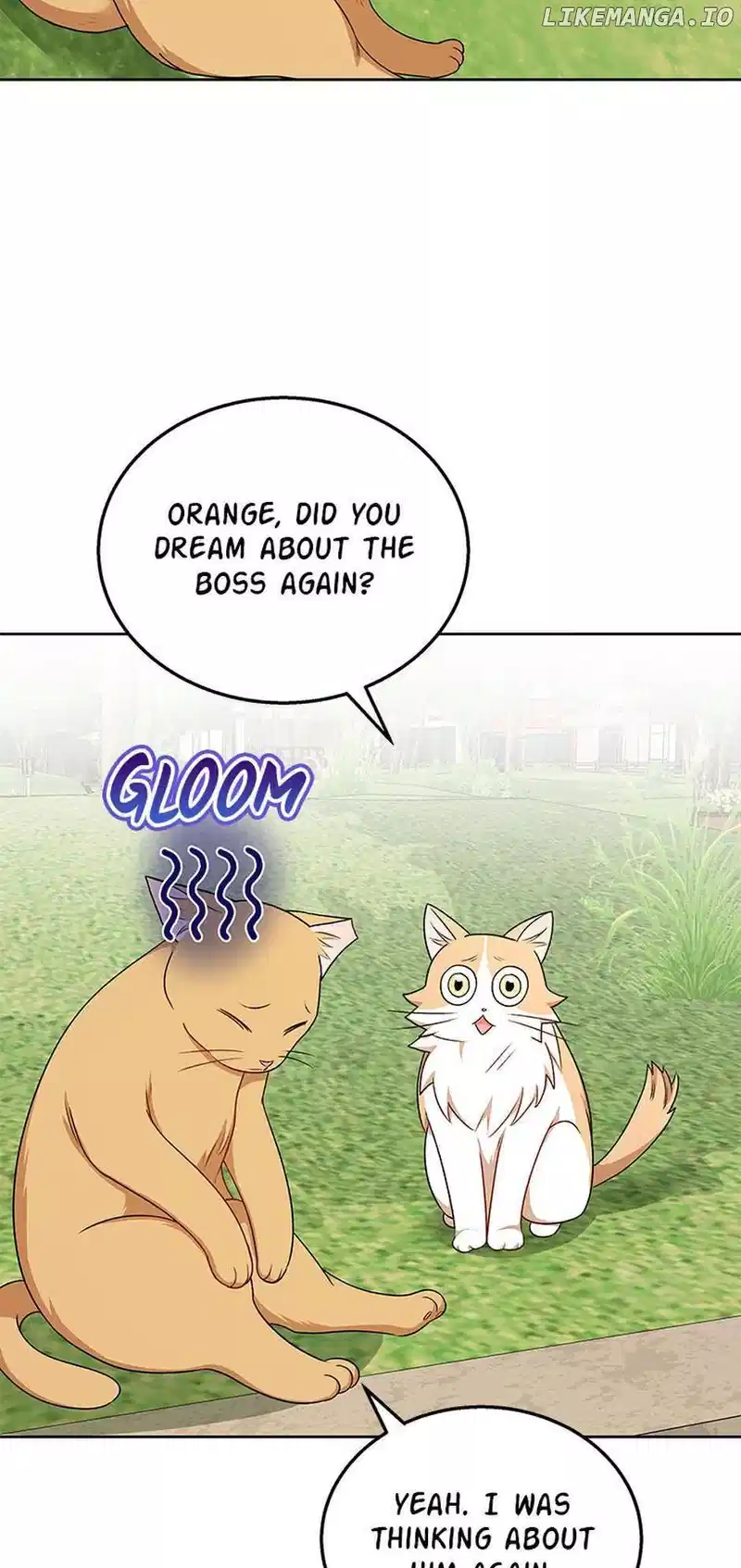 Hello! Veterinarian! chapter 21 page 32