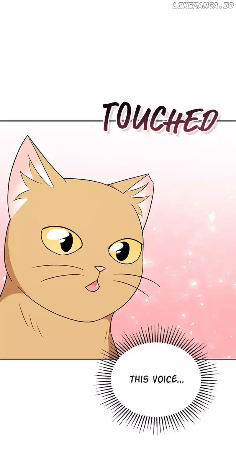 Hello! Veterinarian! chapter 21 page 37