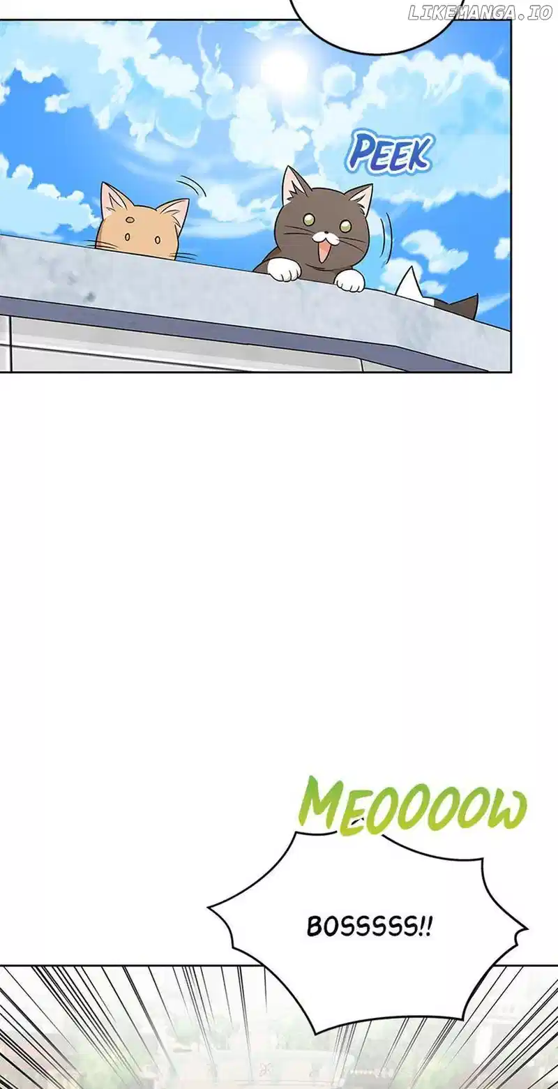 Hello! Veterinarian! chapter 21 page 41
