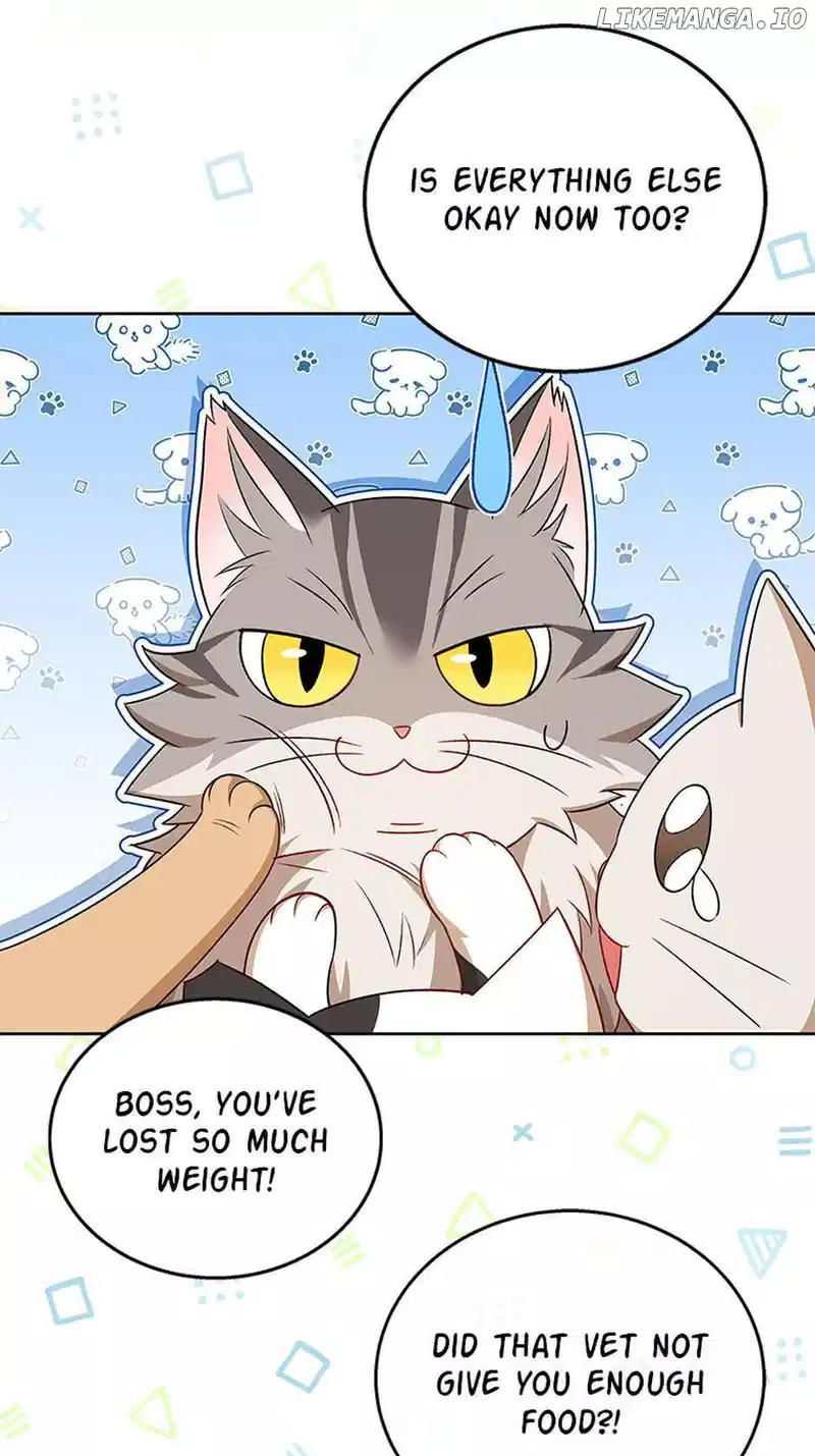 Hello! Veterinarian! chapter 21 page 44