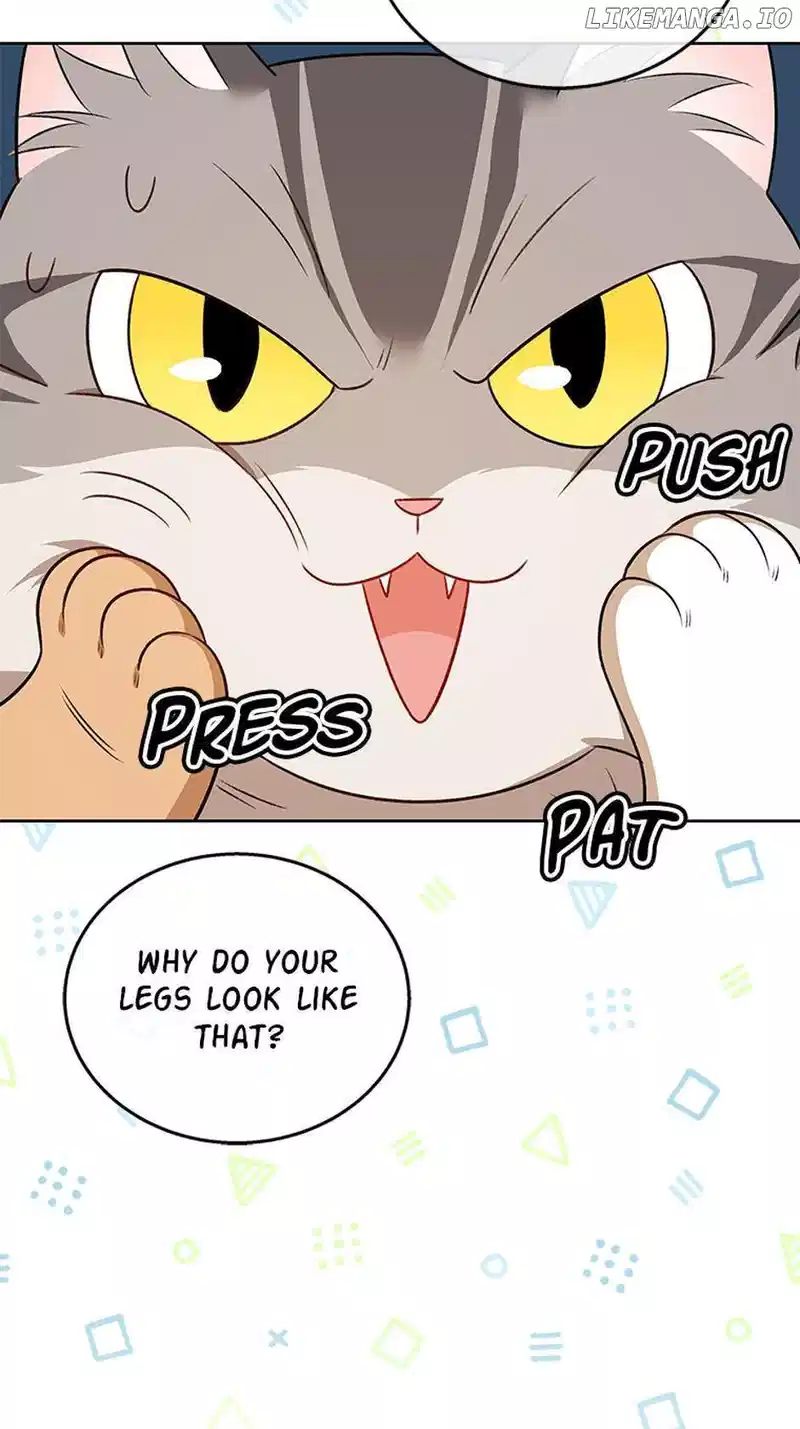 Hello! Veterinarian! chapter 21 page 45