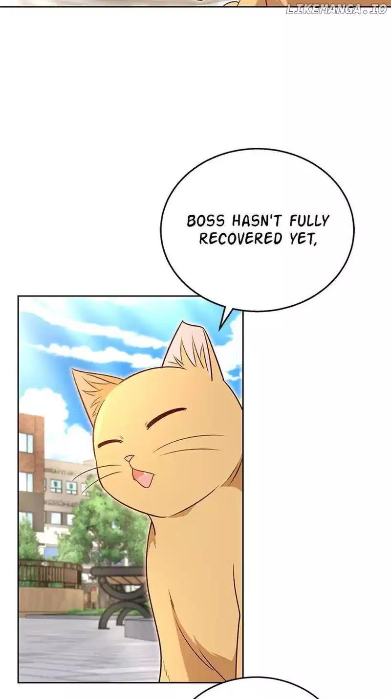 Hello! Veterinarian! chapter 21 page 47