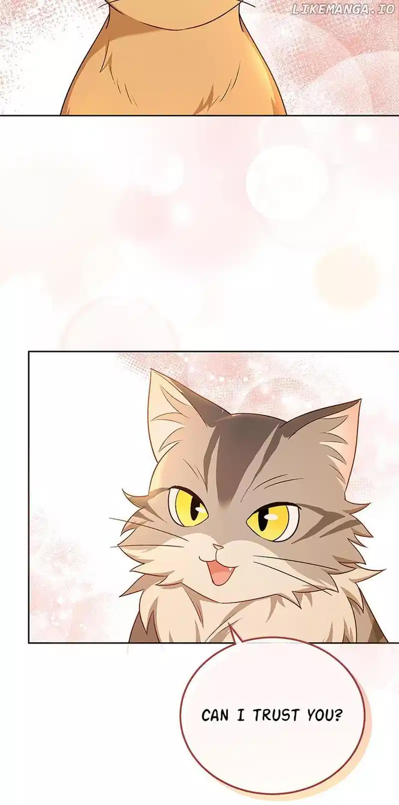 Hello! Veterinarian! chapter 21 page 71