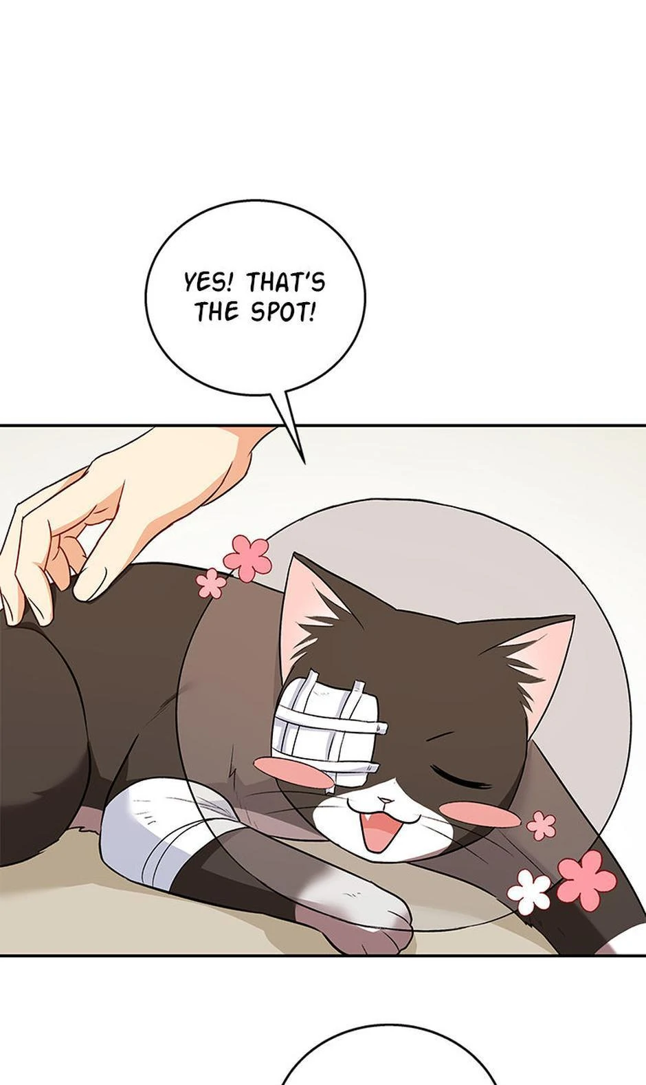 Hello! Veterinarian! chapter 27 page 65