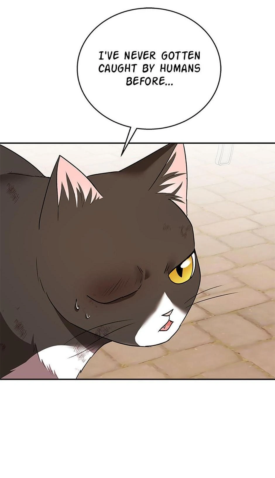 Hello! Veterinarian! chapter 27 page 9