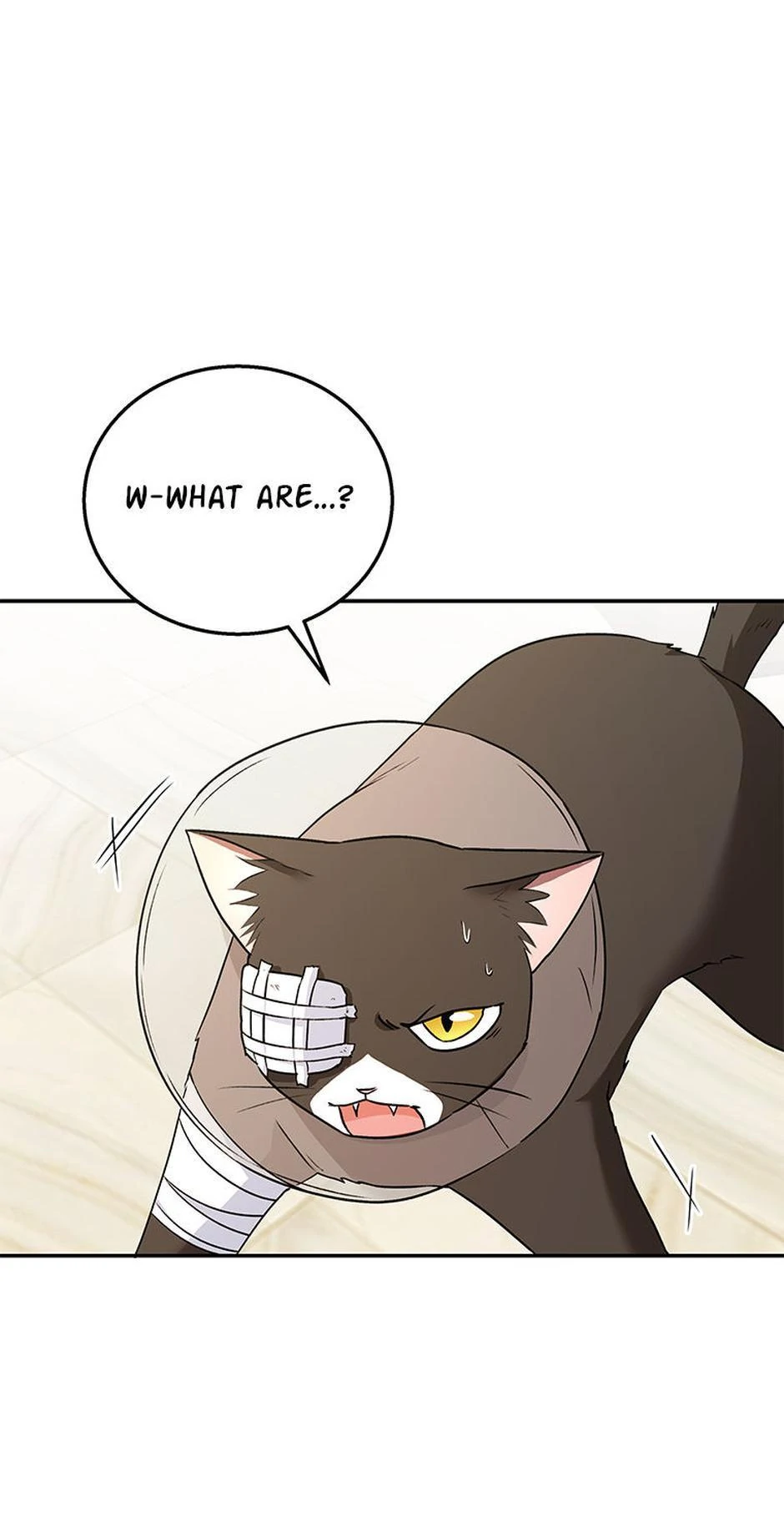 Hello! Veterinarian! chapter 28 page 1