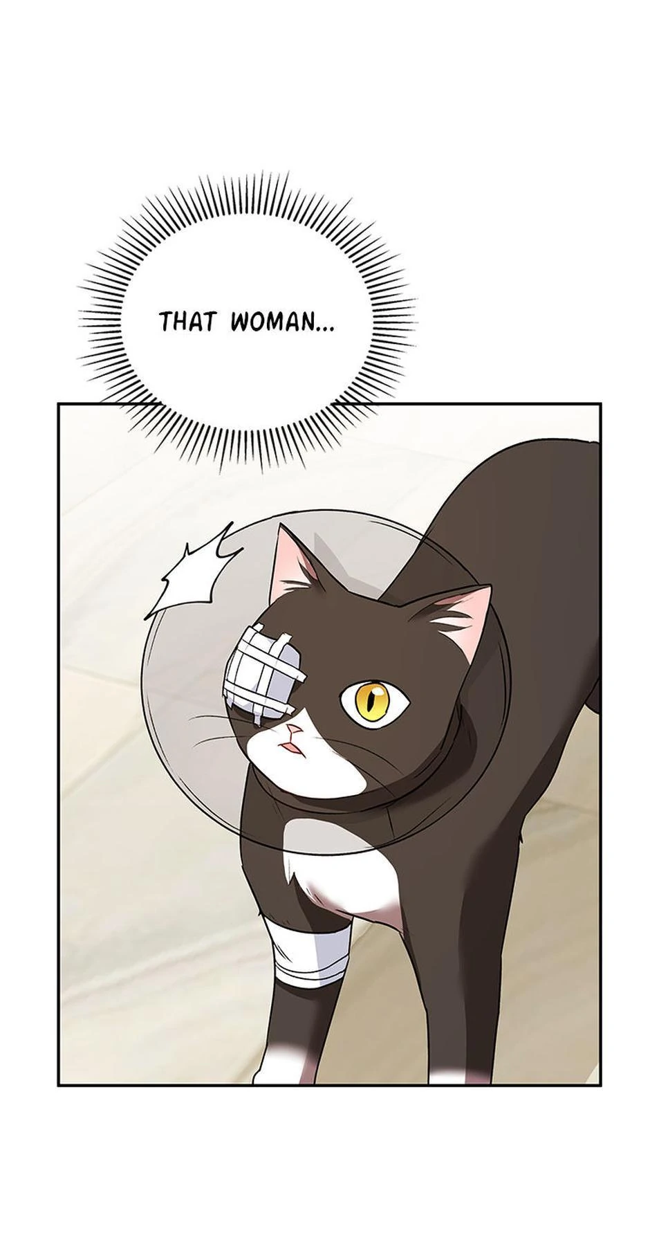 Hello! Veterinarian! chapter 28 page 10