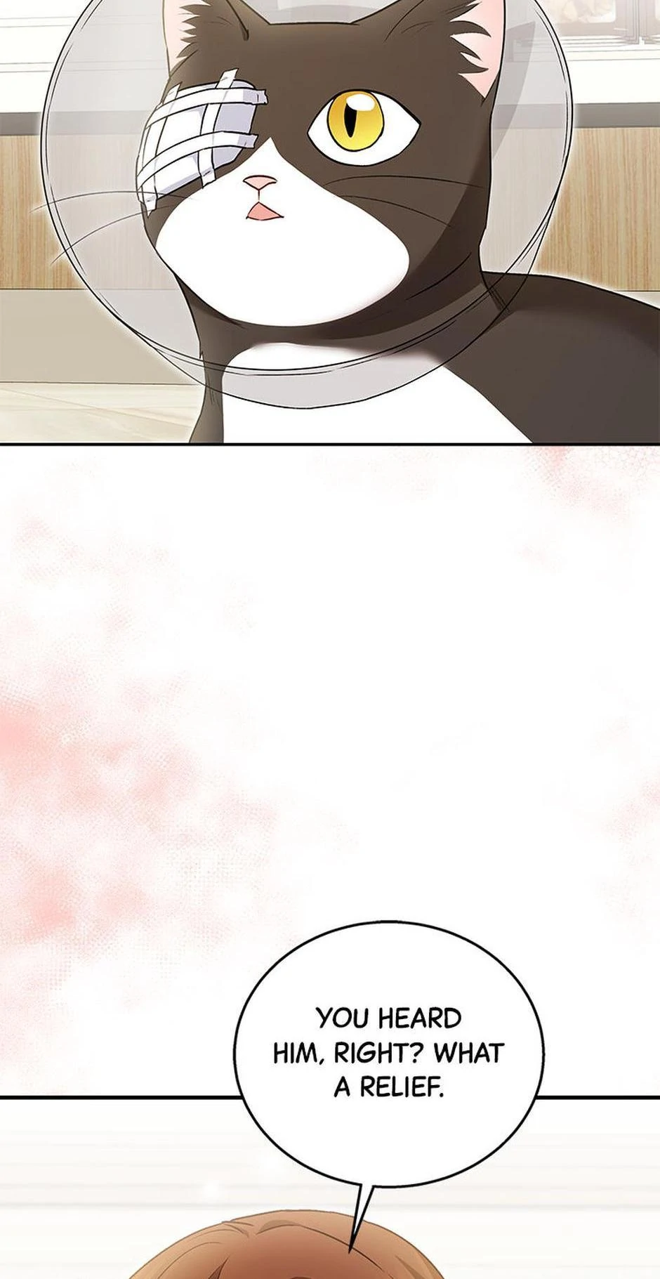 Hello! Veterinarian! chapter 28 page 14