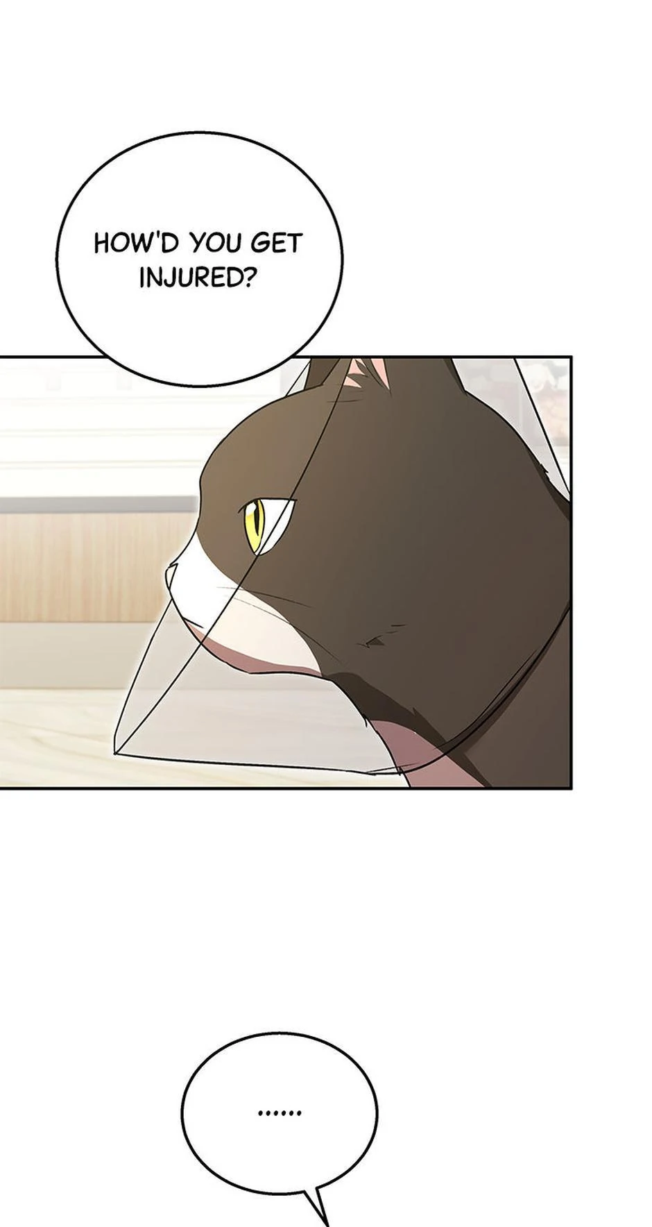 Hello! Veterinarian! chapter 28 page 36